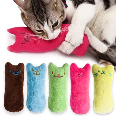 Catnip Brinquedo Interativo Para Gatos